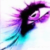 eye4