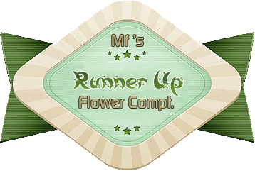 Meraforum Flower Photography Contest Runnerup